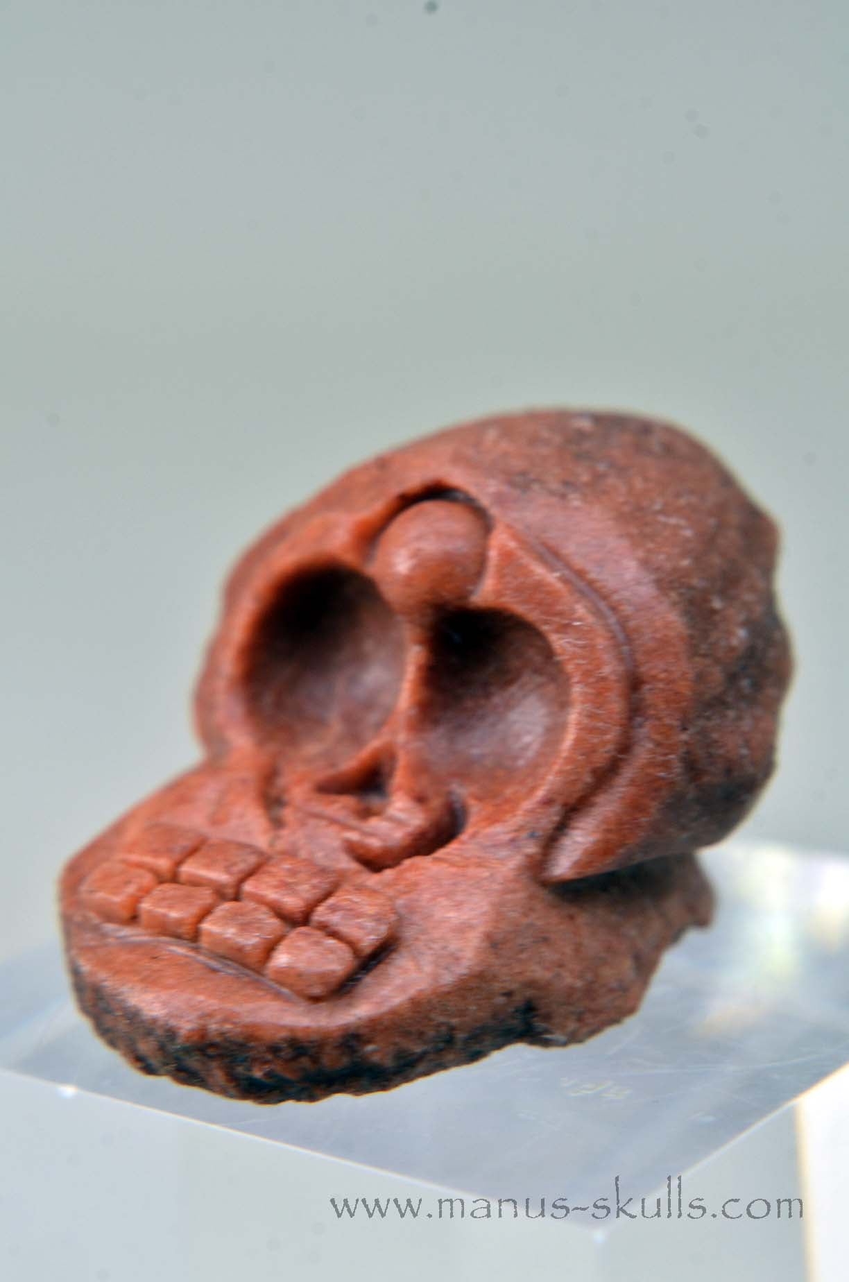 Manus skulls unique Crystal Carvings handmade skulls dragons pendants preseli bluestone tribals spiritual meaning wand Unicorn .. Evolian 2025 Ivolian Stromatolite Oncolite