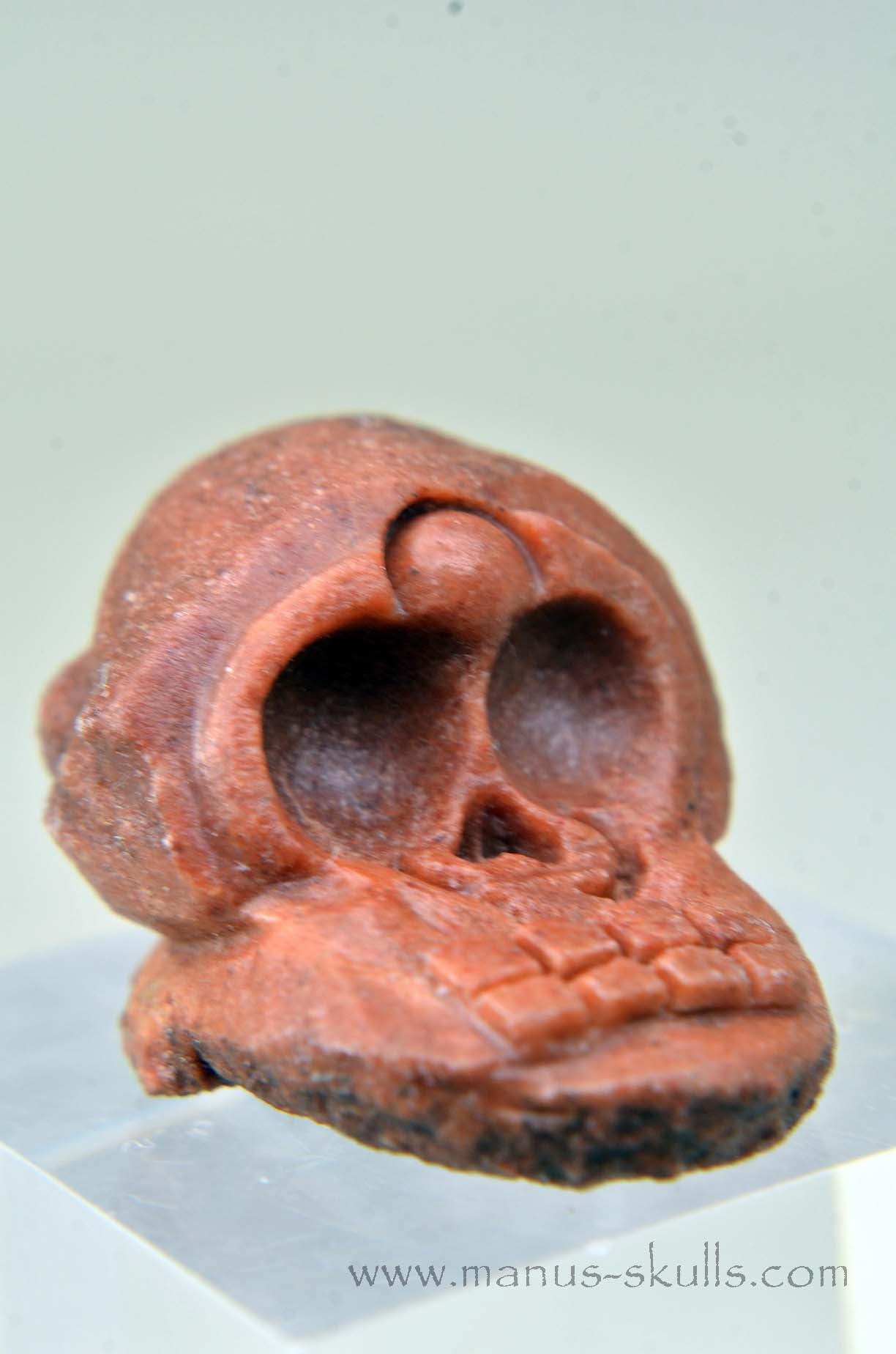 Manus skulls unique Crystal Carvings handmade skulls dragons pendants preseli bluestone tribals spiritual meaning wand Unicorn .. Evolian 2025 Ivolian Stromatolite Oncolite