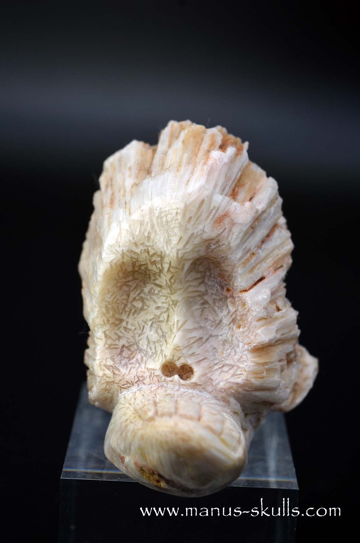 Manus skulls unique Crystal Carvings handmade skulls dragons pendants preseli bluestone tribals spiritual meaning wand Unicorn .. scolecite evolian 2025