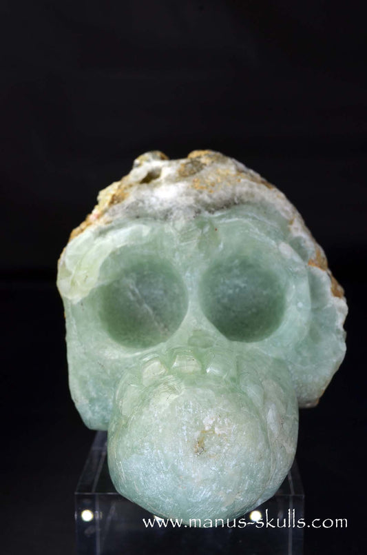 Manus skulls unique Crystal Carvings handmade skulls dragons pendants preseli bluestone tribals spiritual meaning wand Unicorn .. prehnite Evolian 2025