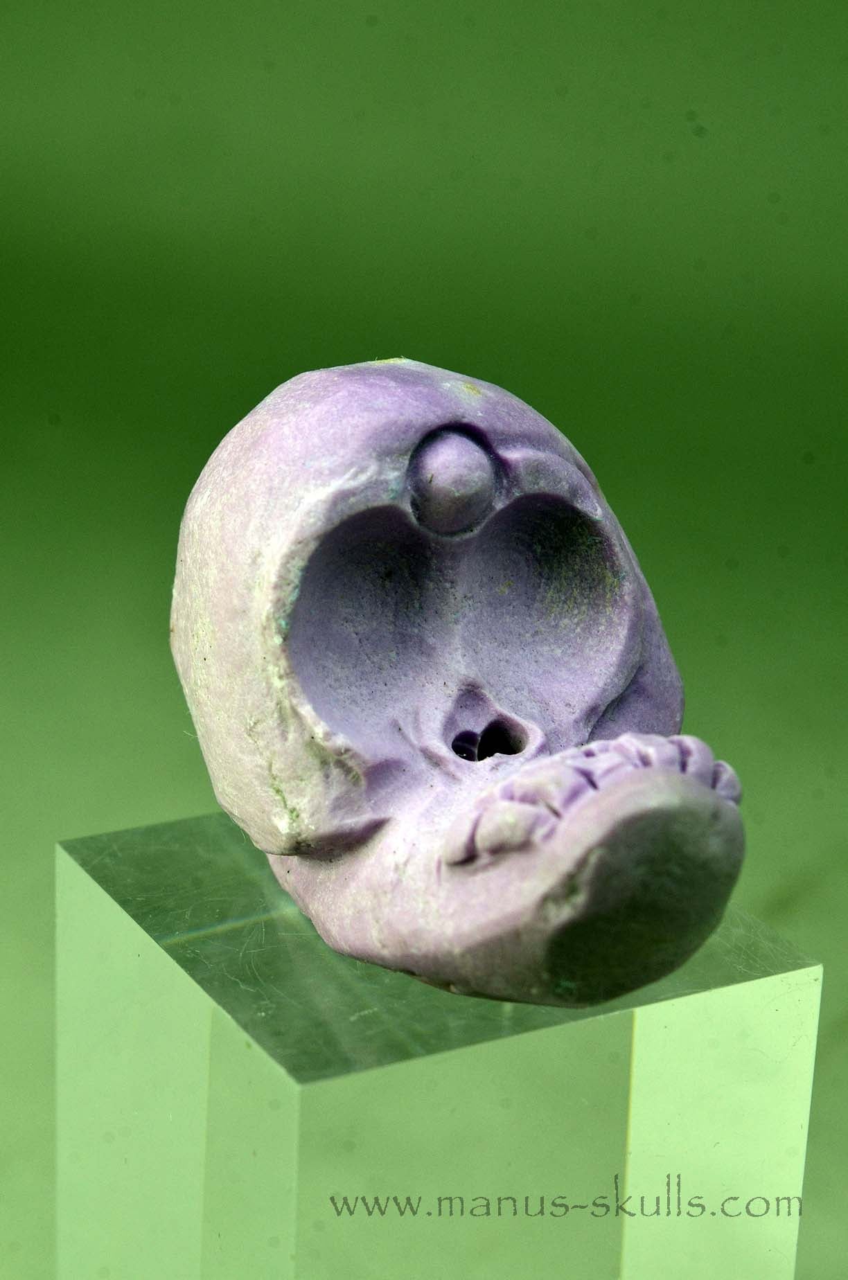 Phosphosiderite Evolian Skull #06