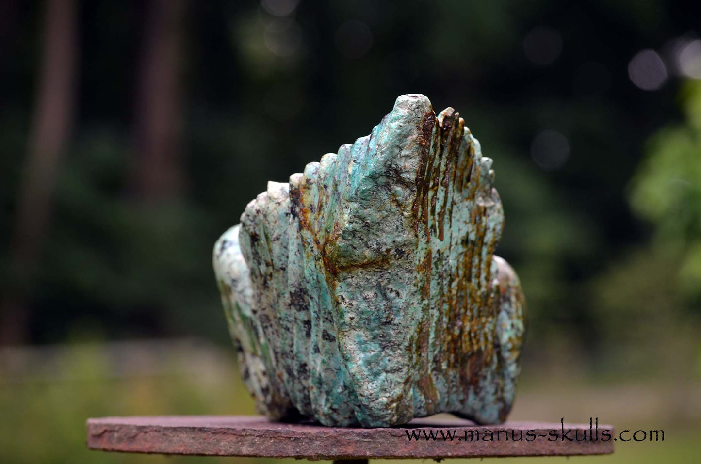 Large Turquois Dragon