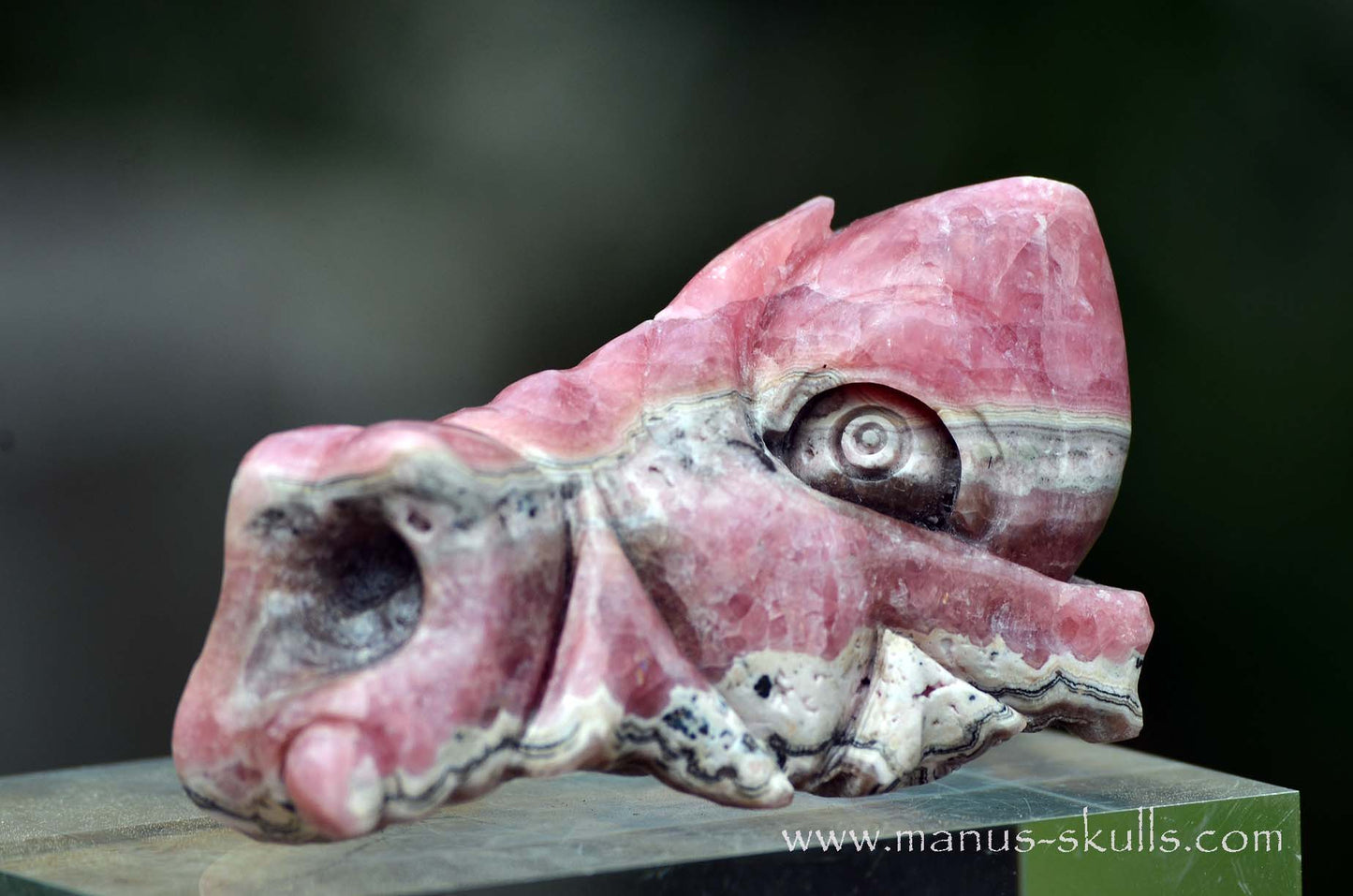 Rhodochrosite Dragon