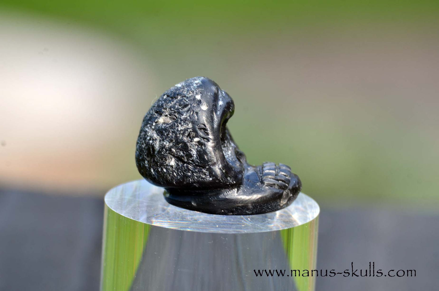 Agni Manitite Evolian #06
