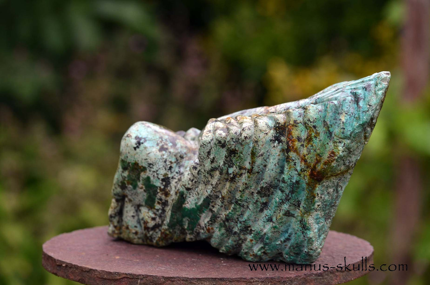 Large Turquois Dragon