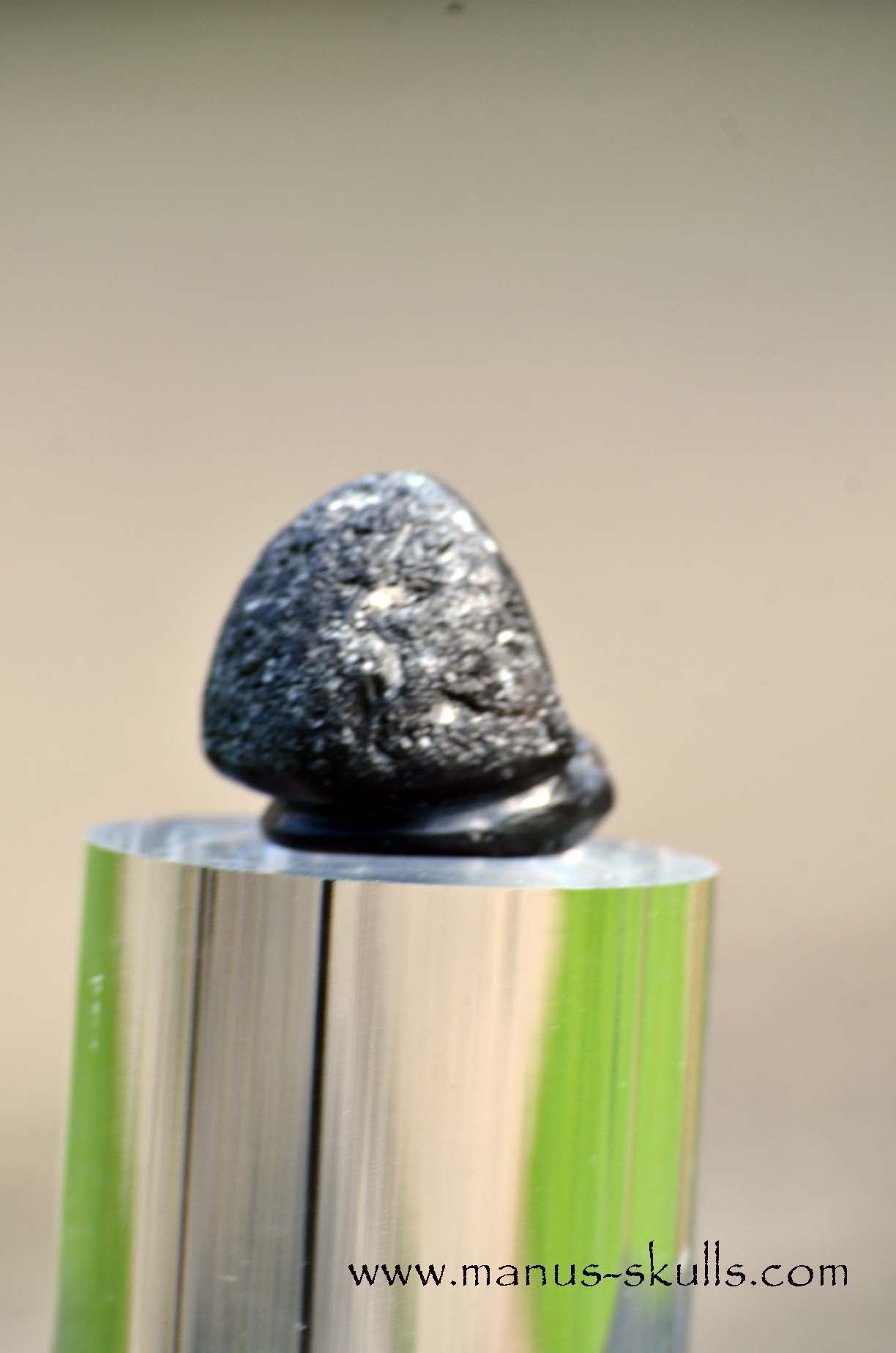 Agni Manitite Evolian #06