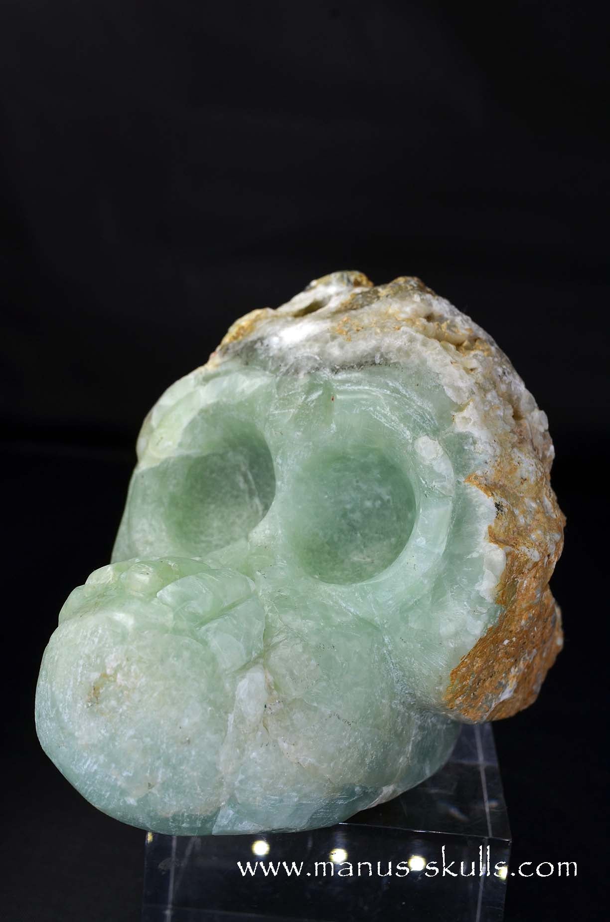 Manus skulls unique Crystal Carvings handmade skulls dragons pendants preseli bluestone tribals spiritual meaning wand Unicorn .. prehnite Evolian 2025