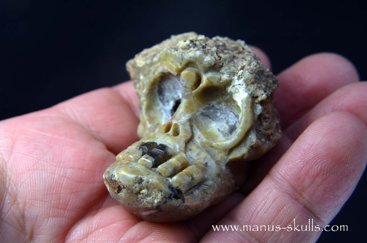 TNT-bed Thunderegg Evolian #05