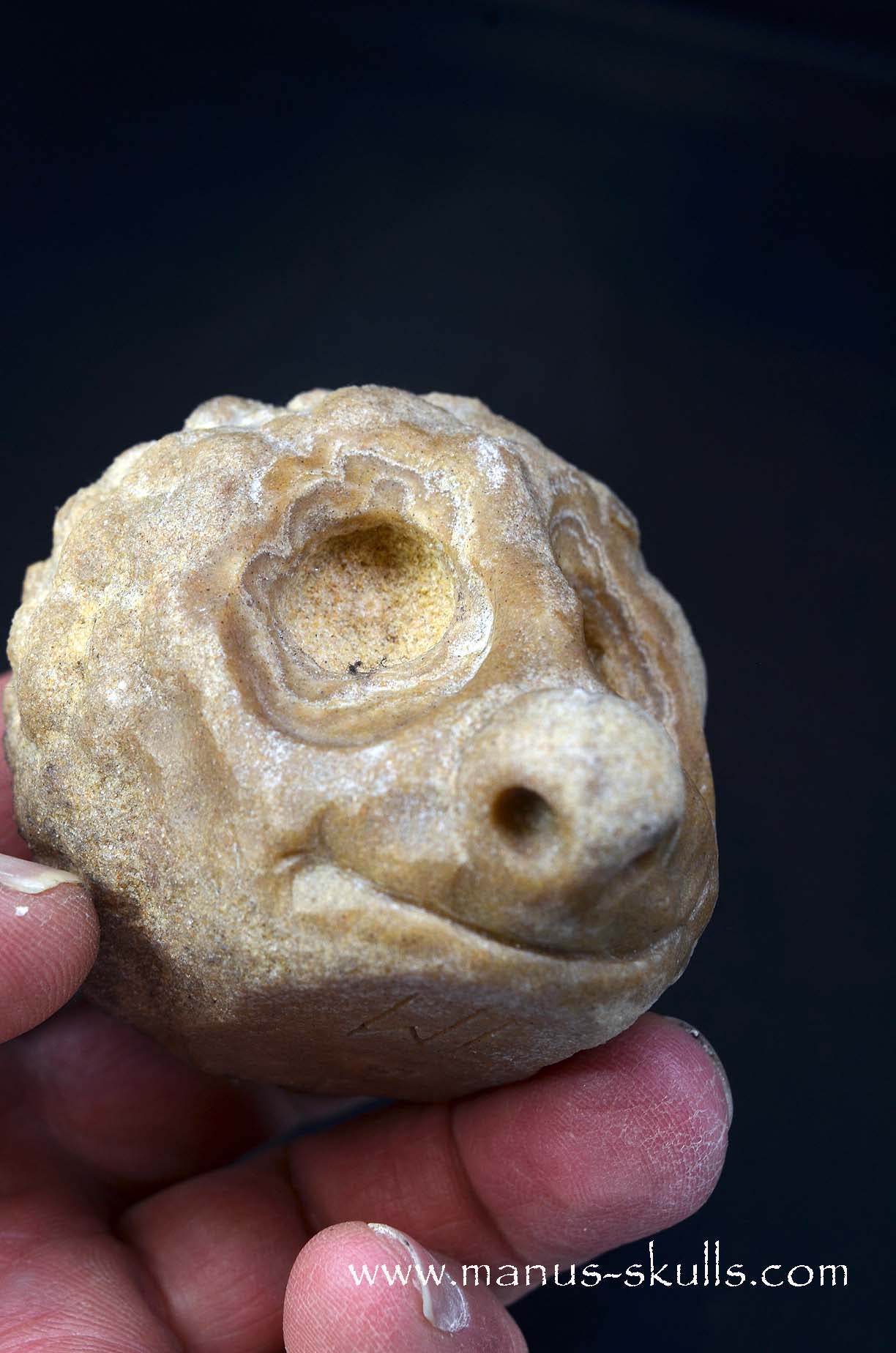 Stromatolite ~ Oncolite Character Skull