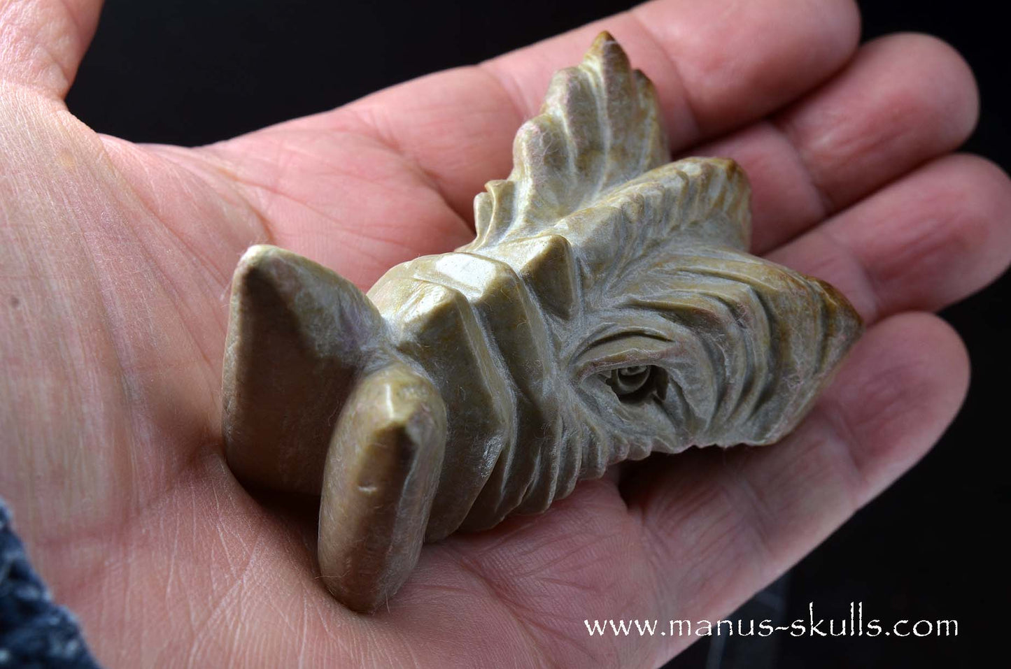 Sarsens stone Dragon (Stonehenge Stone)