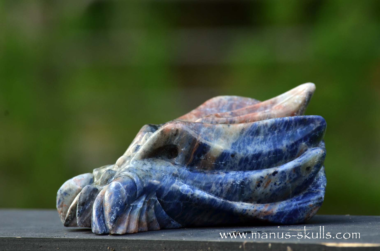 Sunset Sodalite Dragon