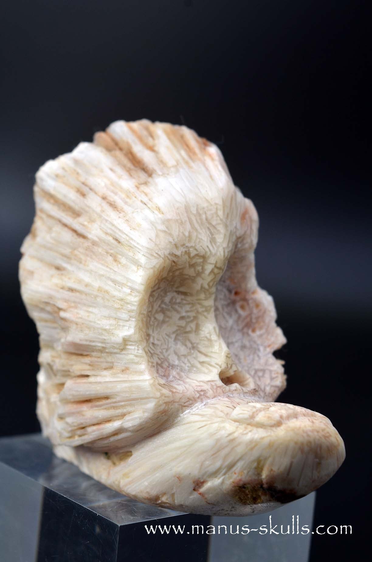 Manus skulls unique Crystal Carvings handmade skulls dragons pendants preseli bluestone tribals spiritual meaning wand Unicorn .. scolecite evolian 2025