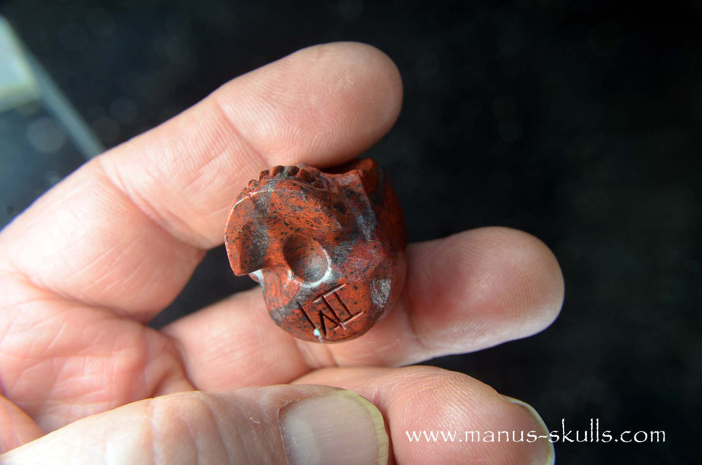 Sonora Sunrise Baby Skull