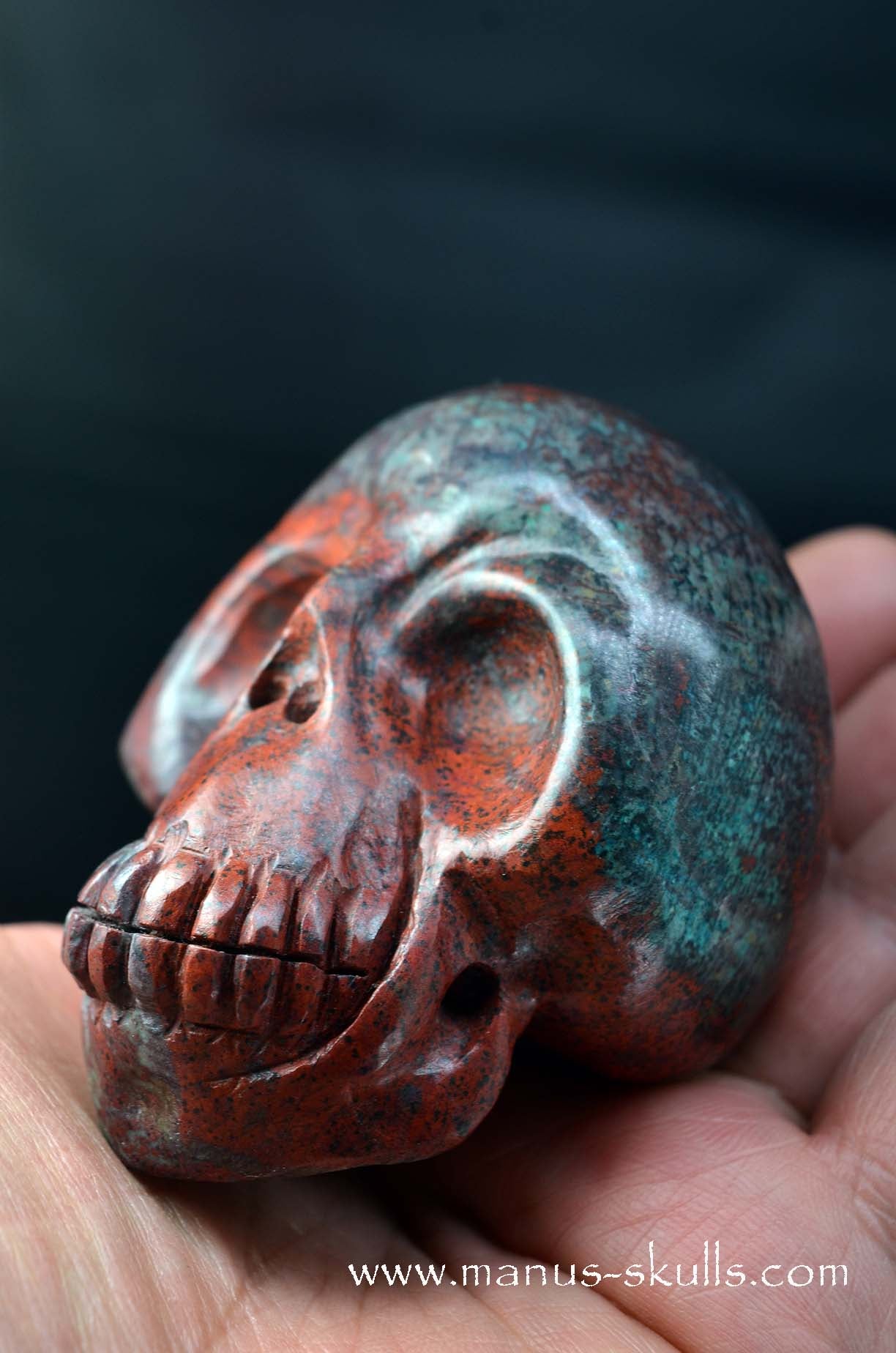 Happy Sonora Sunrise Skull