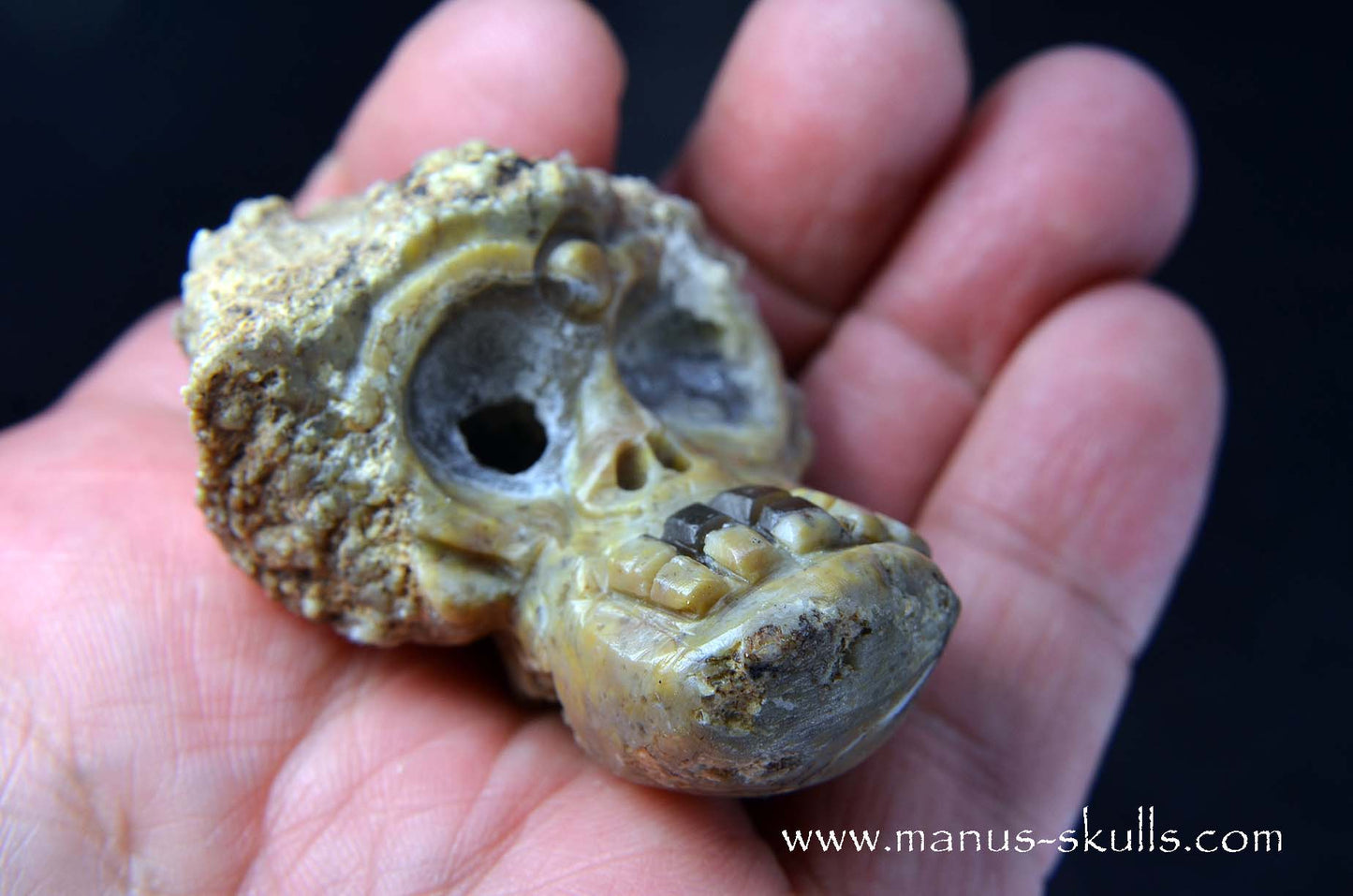 TNT-bed Thunderegg Evolian #05