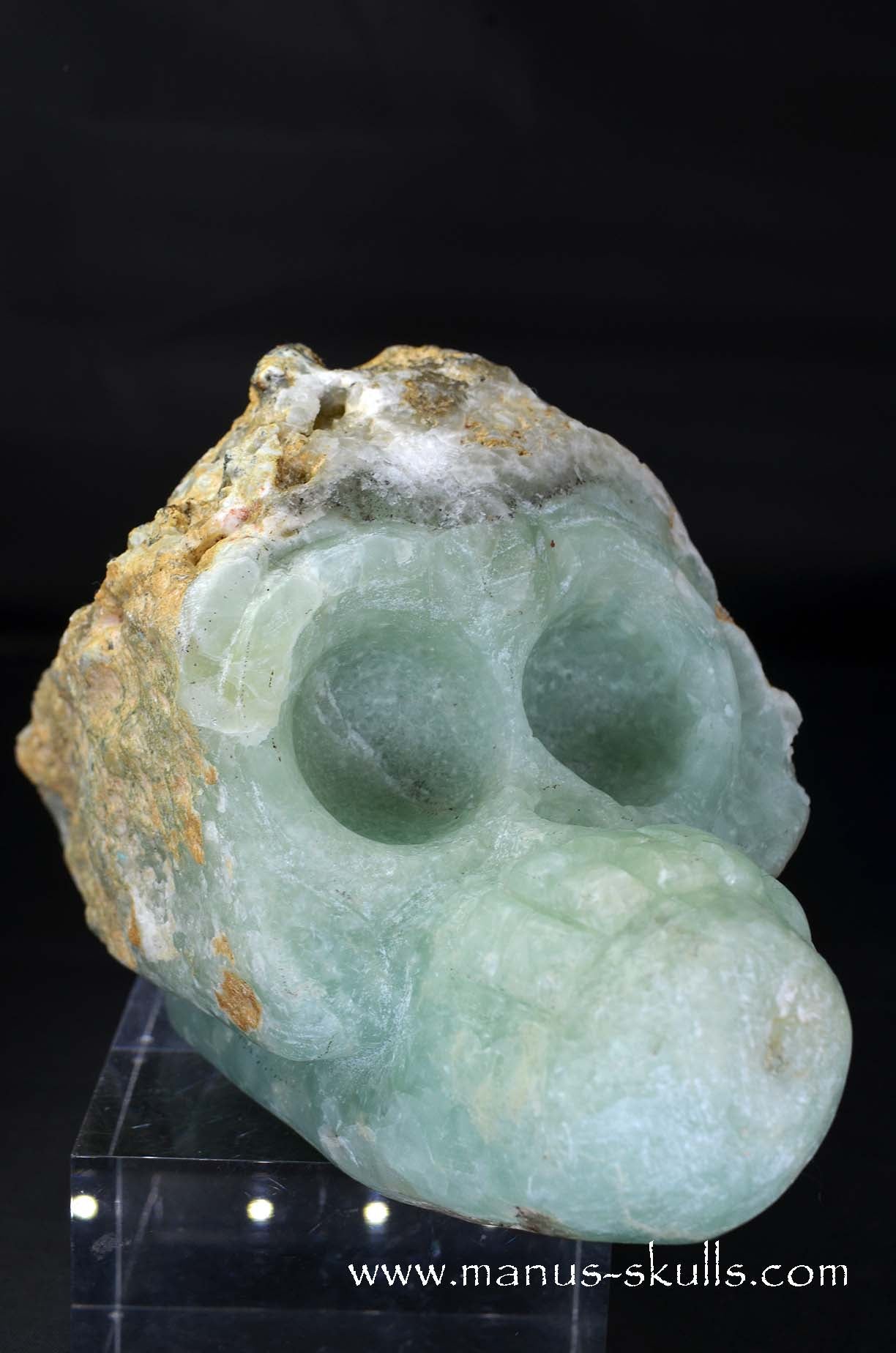 Manus skulls unique Crystal Carvings handmade skulls dragons pendants preseli bluestone tribals spiritual meaning wand Unicorn .. prehnite Evolian 2025