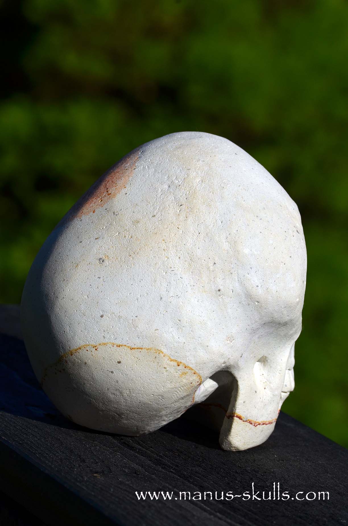 Arizona Sandstone skull