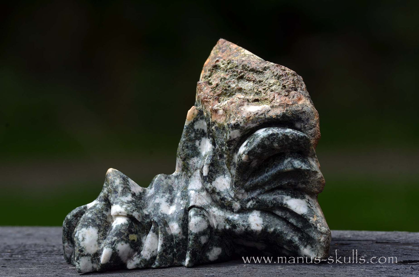 Preseli Bluestone Dragon