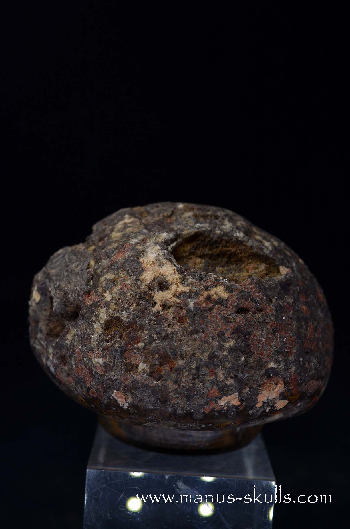 Agate Geode Evolian #01