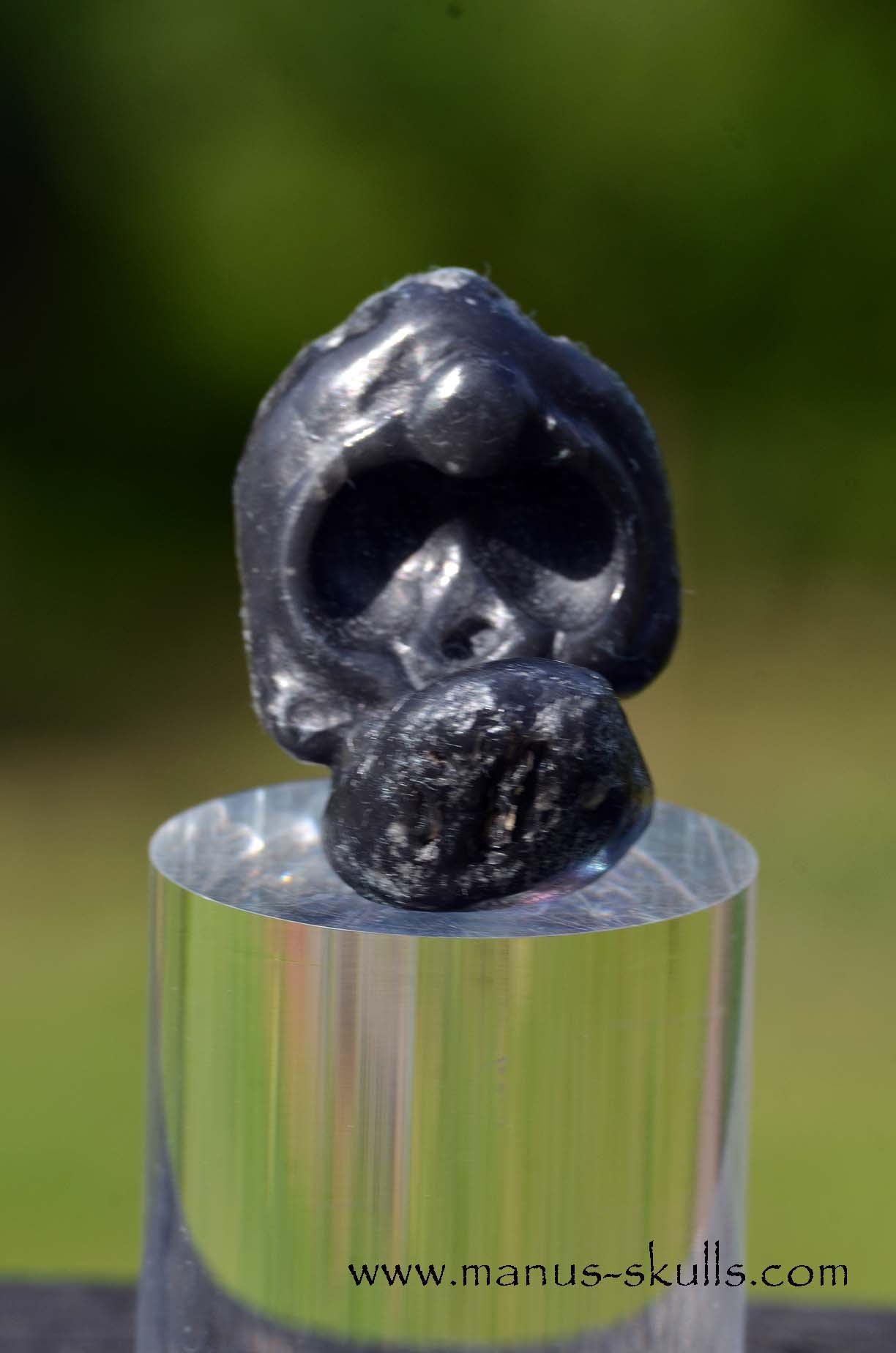 Agni Manitite Evolian Manus Skull