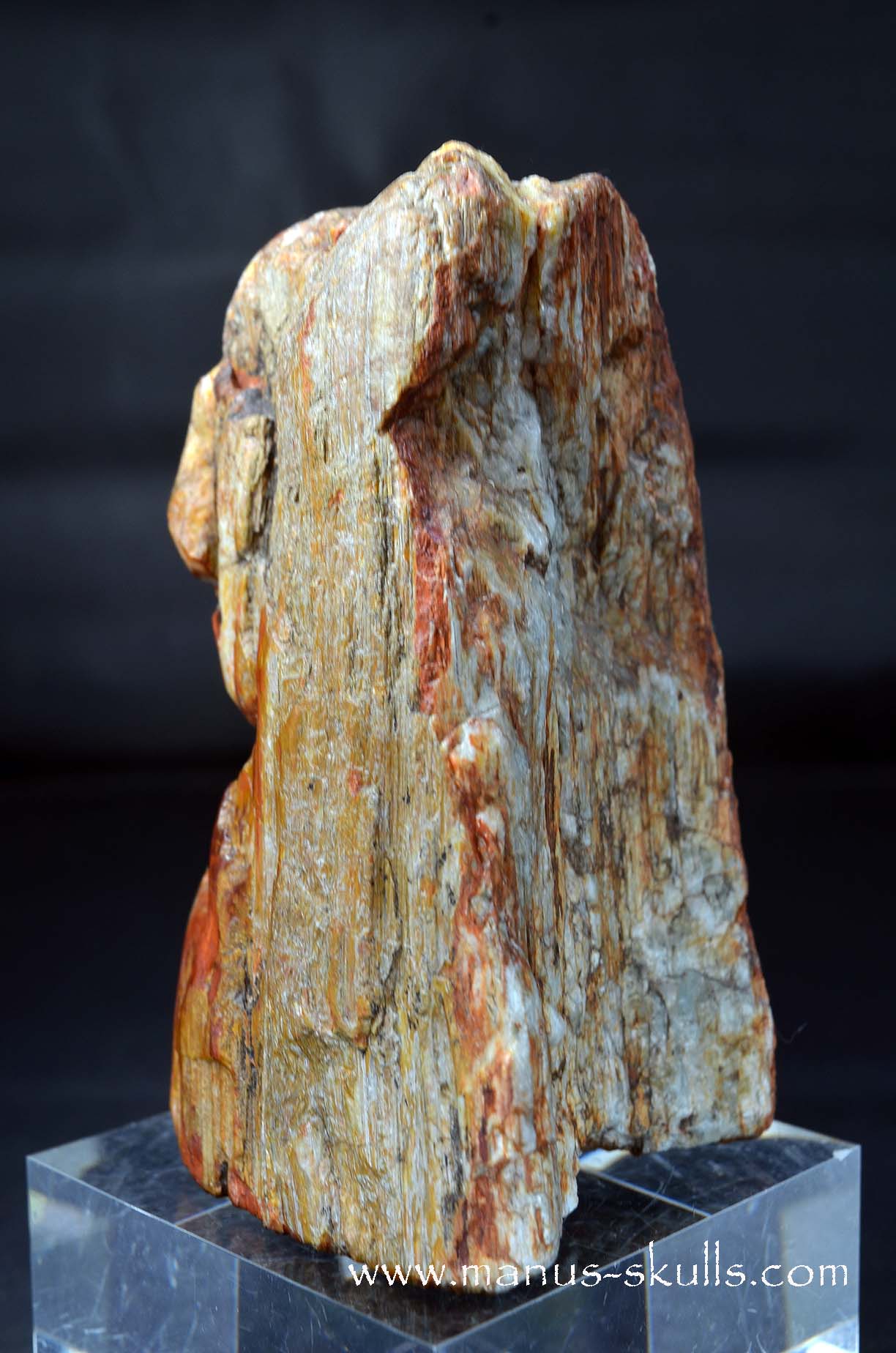 Eagle Eye Quartz Character Skull face