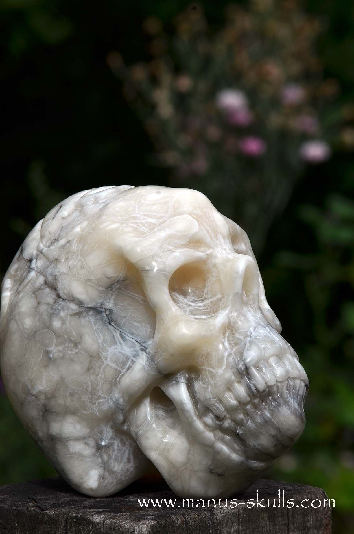 Alabaster Skull with carved Scarab Beetle ....