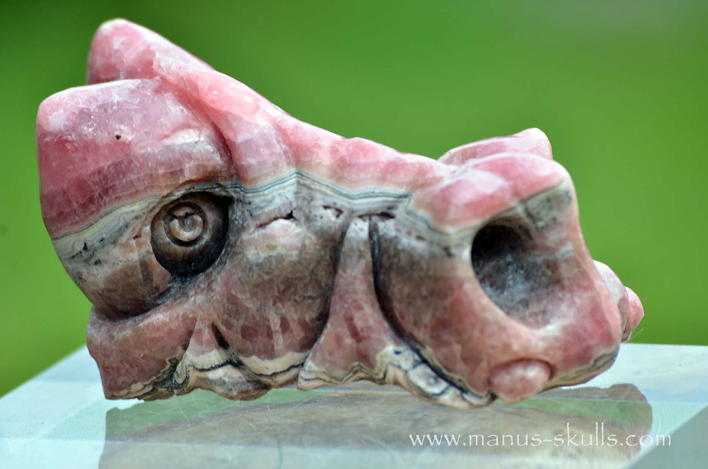 Rhodochrosite Dragon