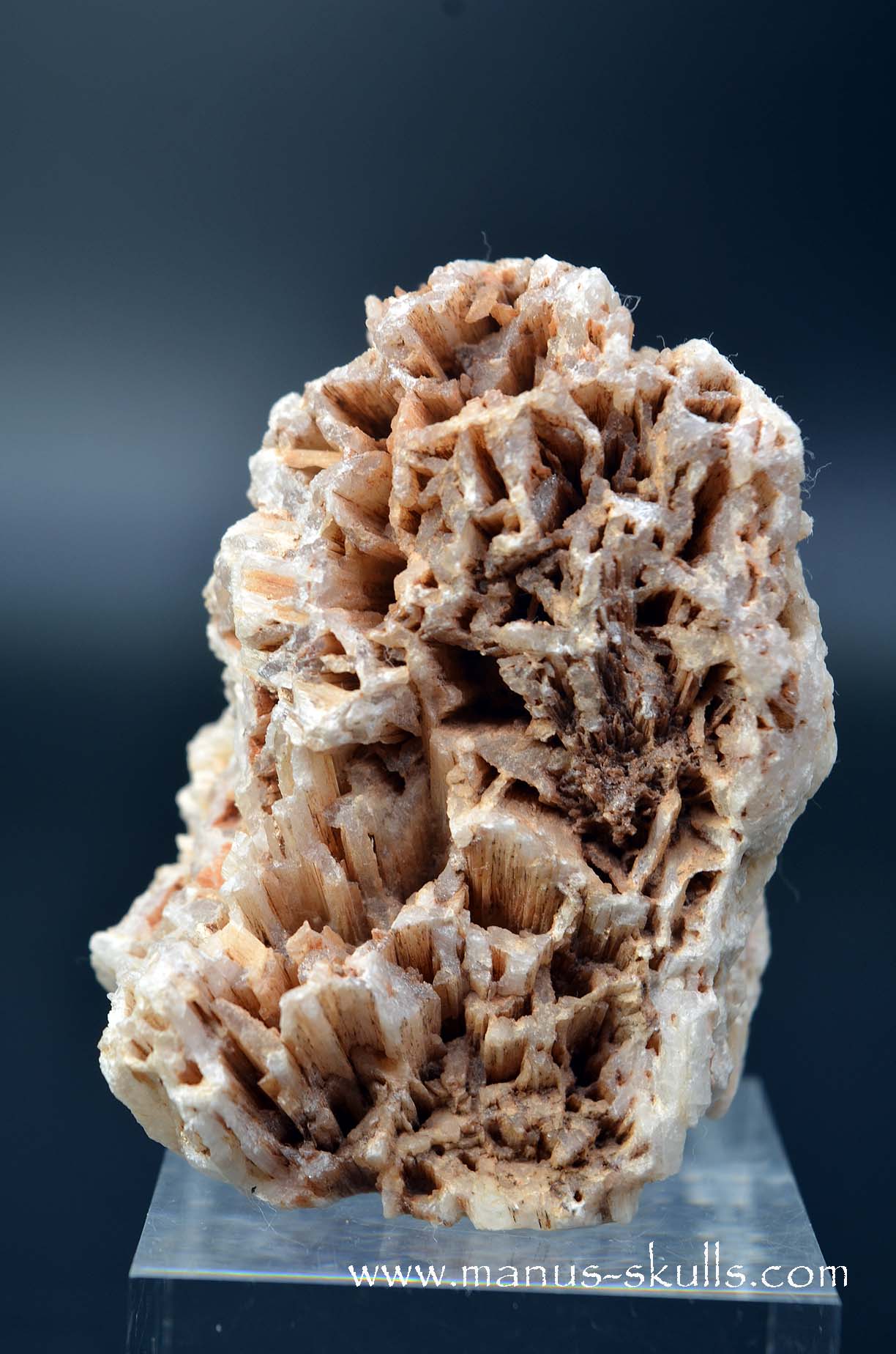 Scolecite Evolian Skull #06