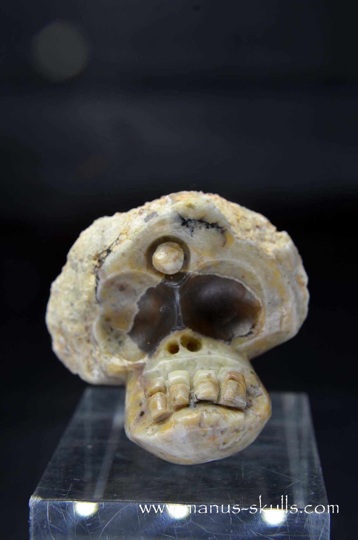 Manus skulls unique Crystal Carvings handmade skulls dragons pendants preseli bluestone tribals spiritual meaning wand Unicorn .. TNT bed Lithophyse Thunderegg