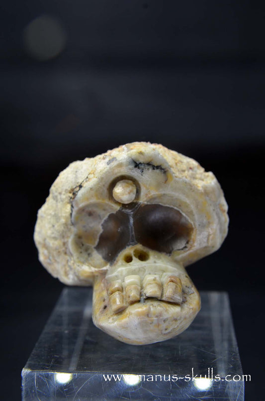 Manus skulls unique Crystal Carvings handmade skulls dragons pendants preseli bluestone tribals spiritual meaning wand Unicorn .. TNT bed   Lithophyse   Thunderegg