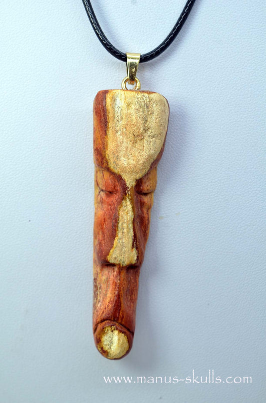 Petrified wood Pendant