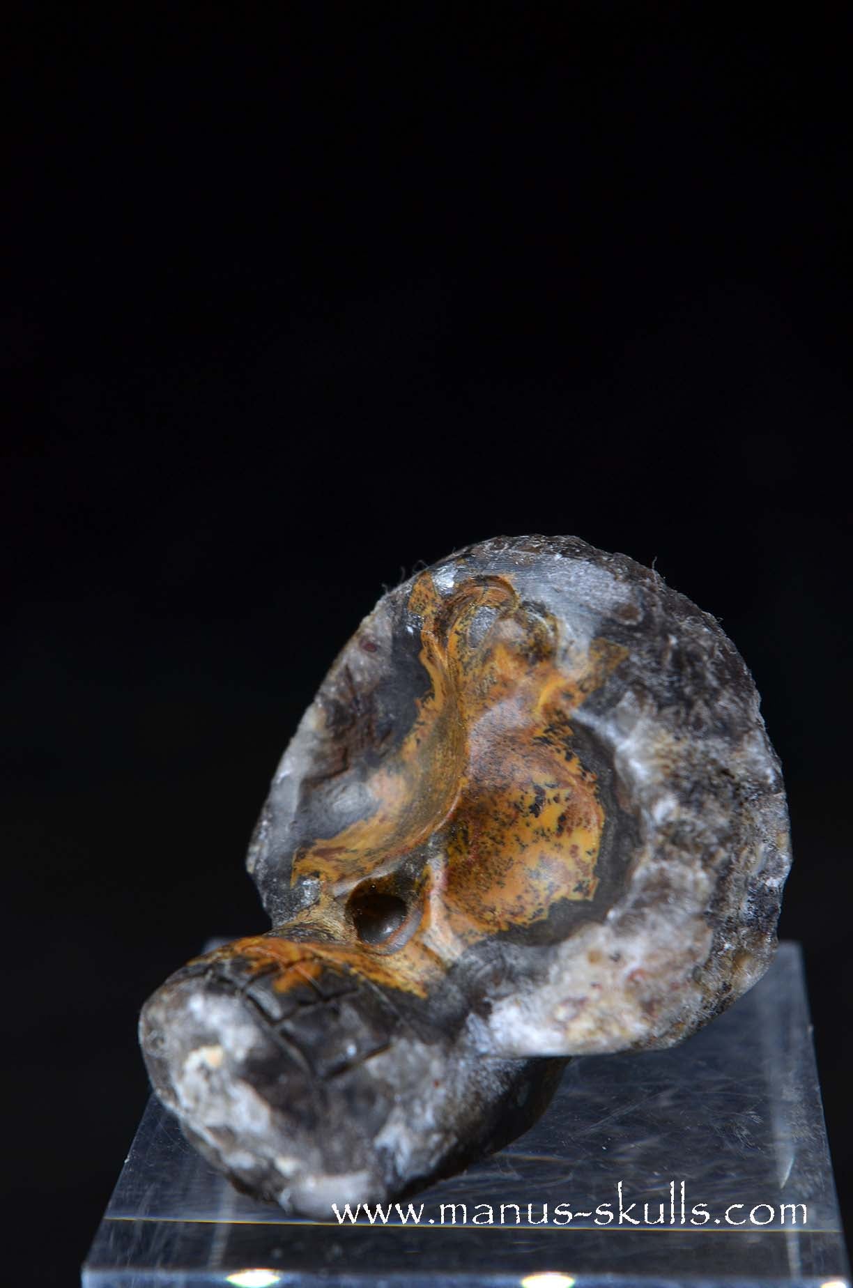 Manus skulls unique Crystal Carvings handmade skulls dragons pendants preseli bluestone tribals spiritual meaning wand Unicorn .. agate geode Evolian