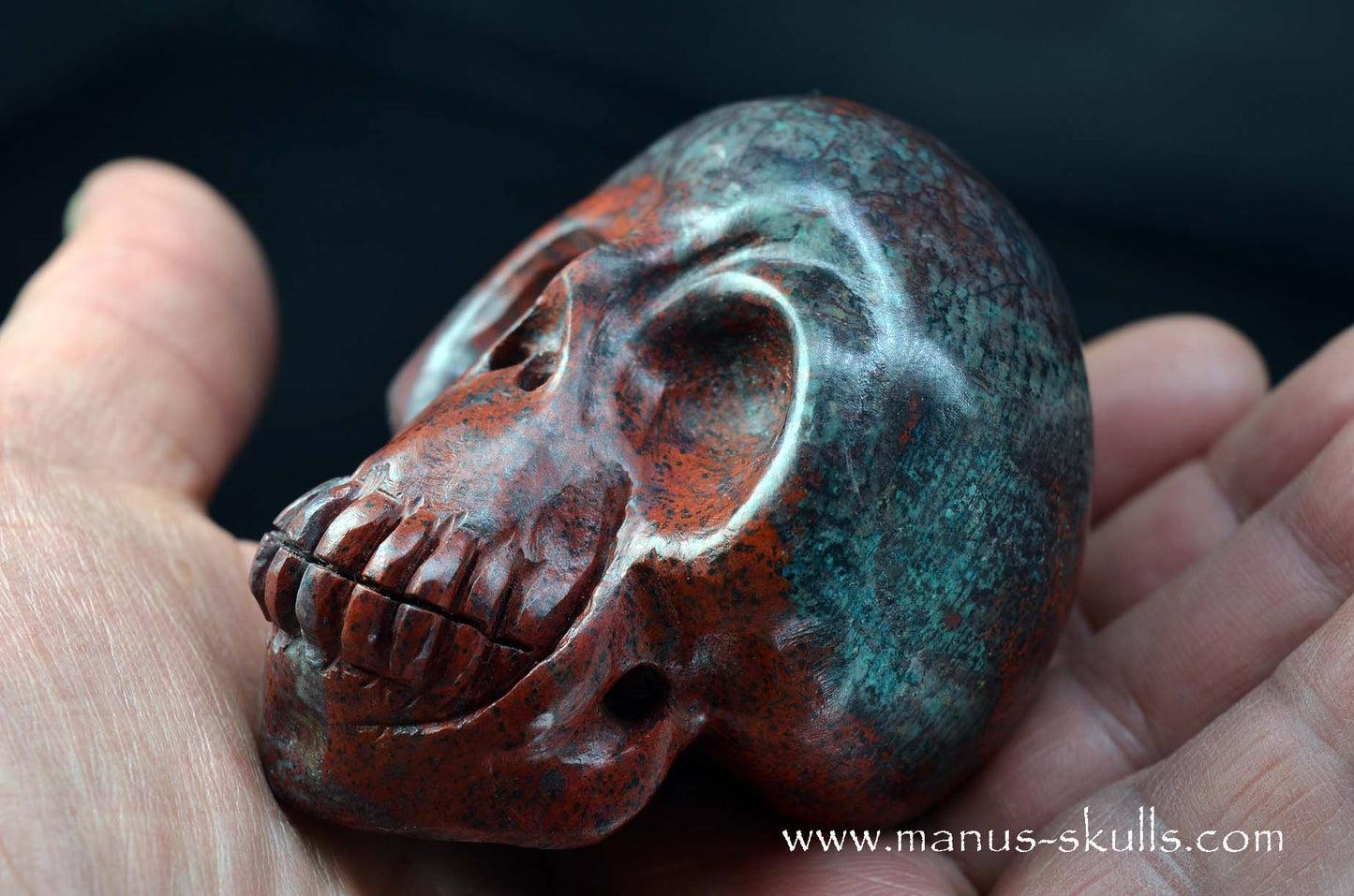 Happy Sonora Sunrise Skull