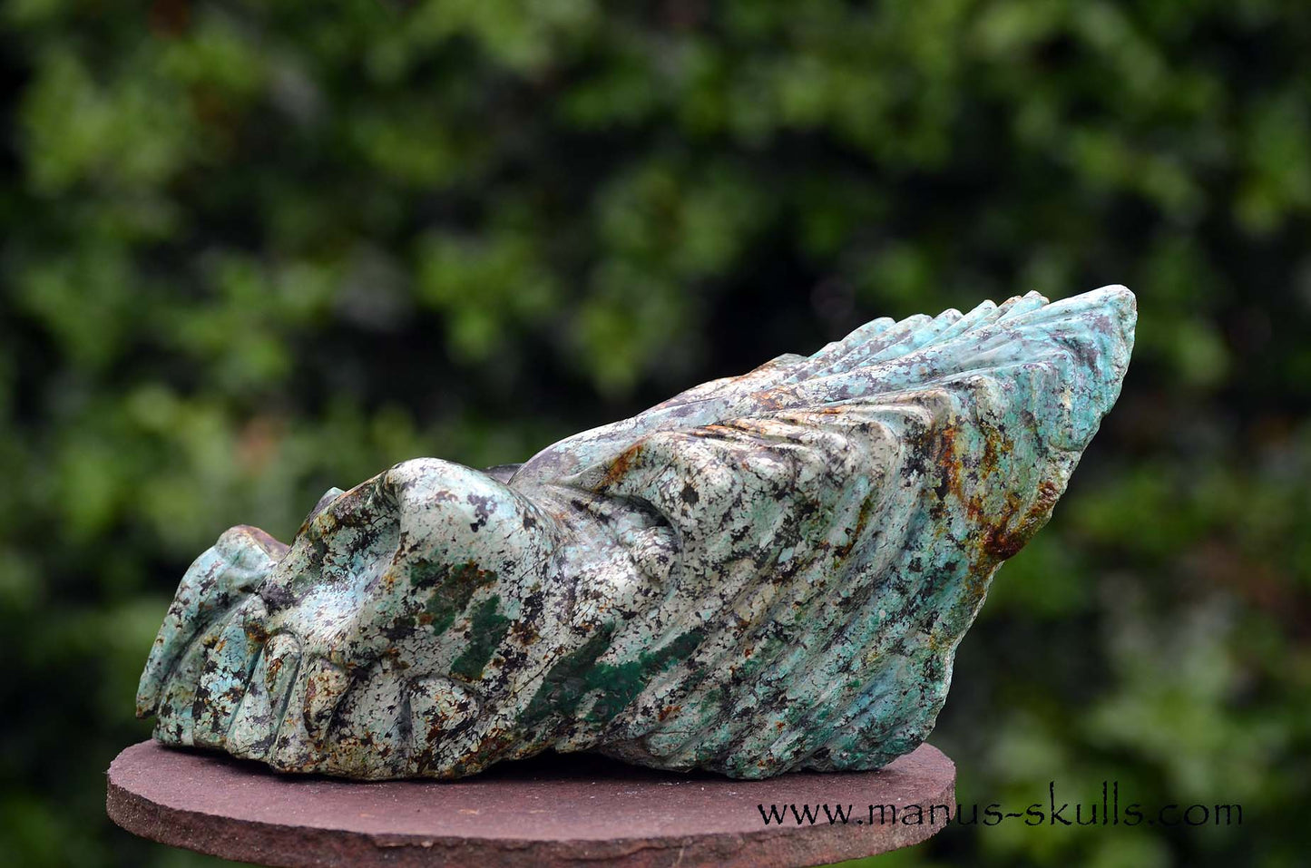 Large Turquois Dragon