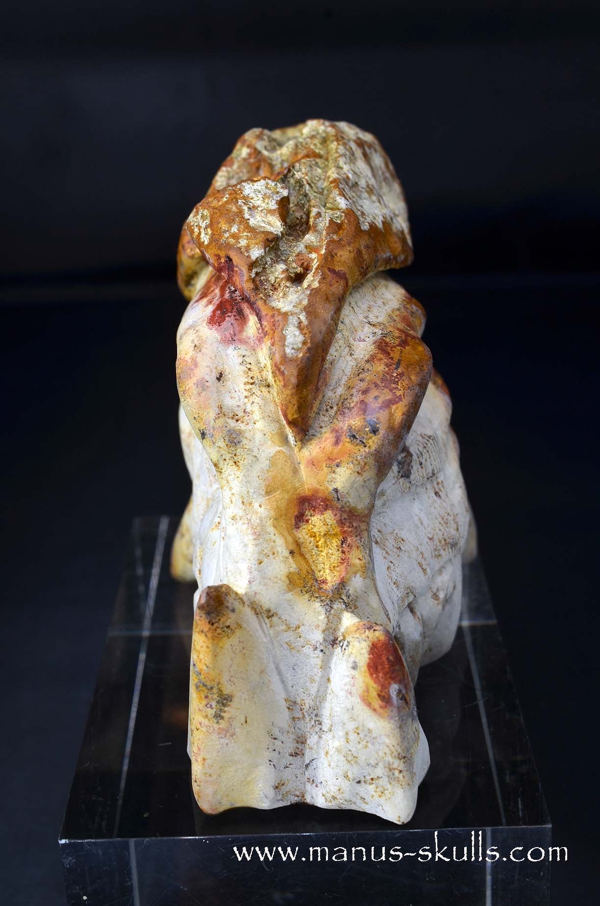 Petrified Coral Dragon