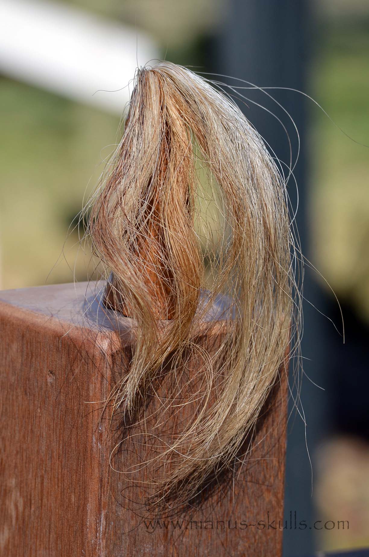 Steatite Tribal Skull  #028