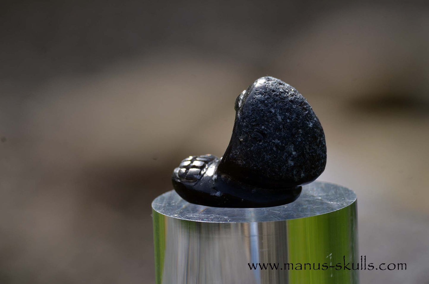 Agni Manitite Evolian #06