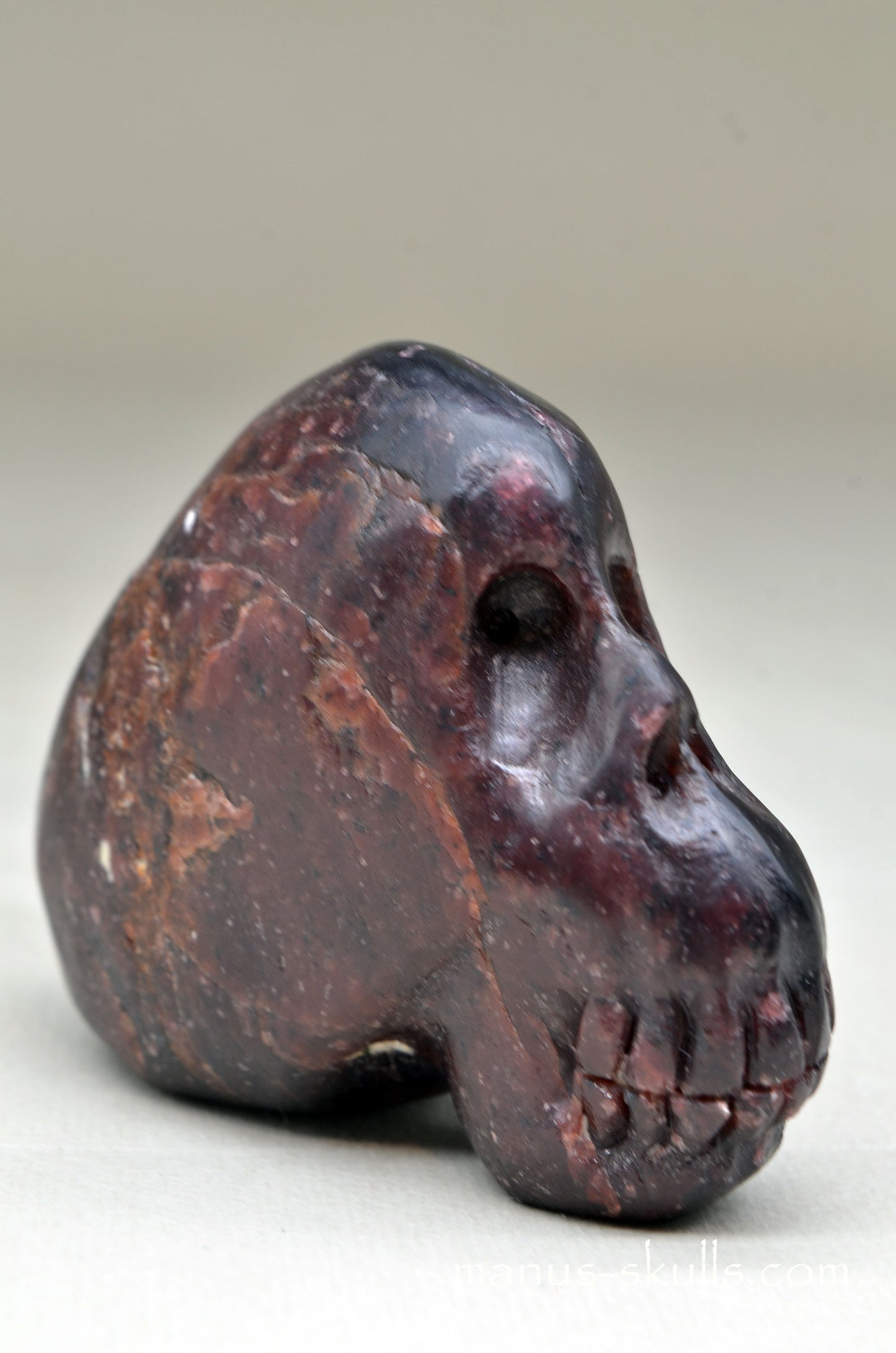 GARNET SKULL