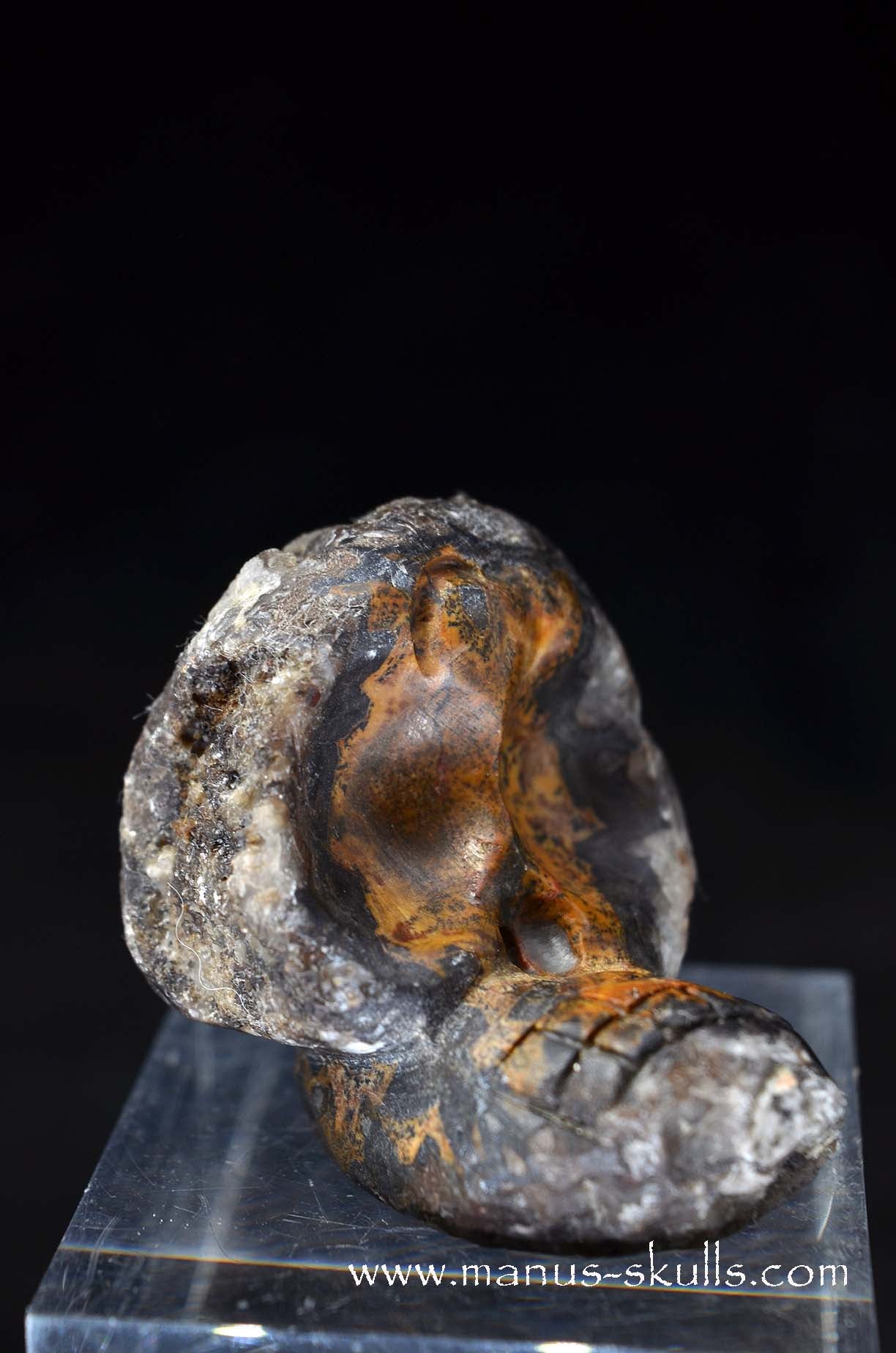 Manus skulls unique Crystal Carvings handmade skulls dragons pendants preseli bluestone tribals spiritual meaning wand Unicorn .. agate geode Evolian