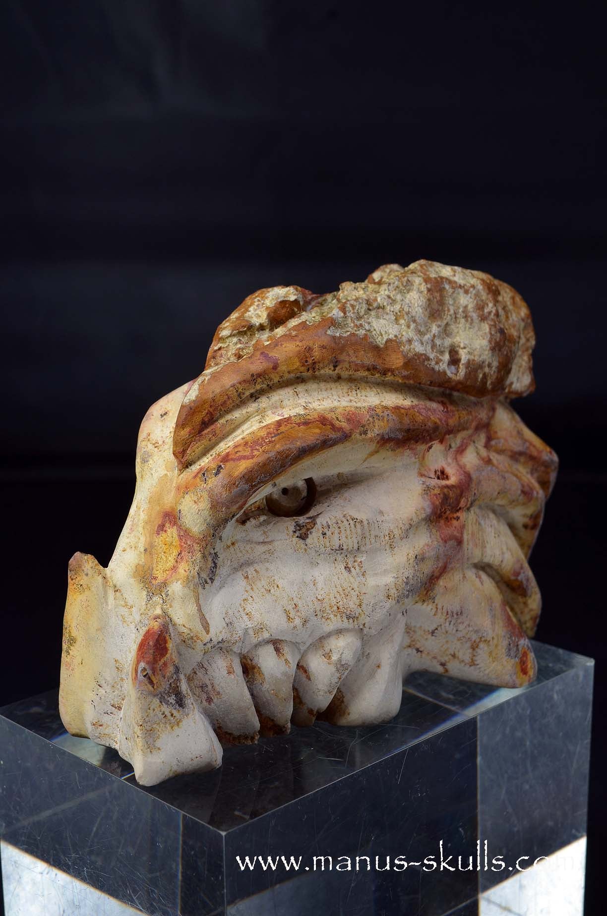 Petrified Coral Dragon