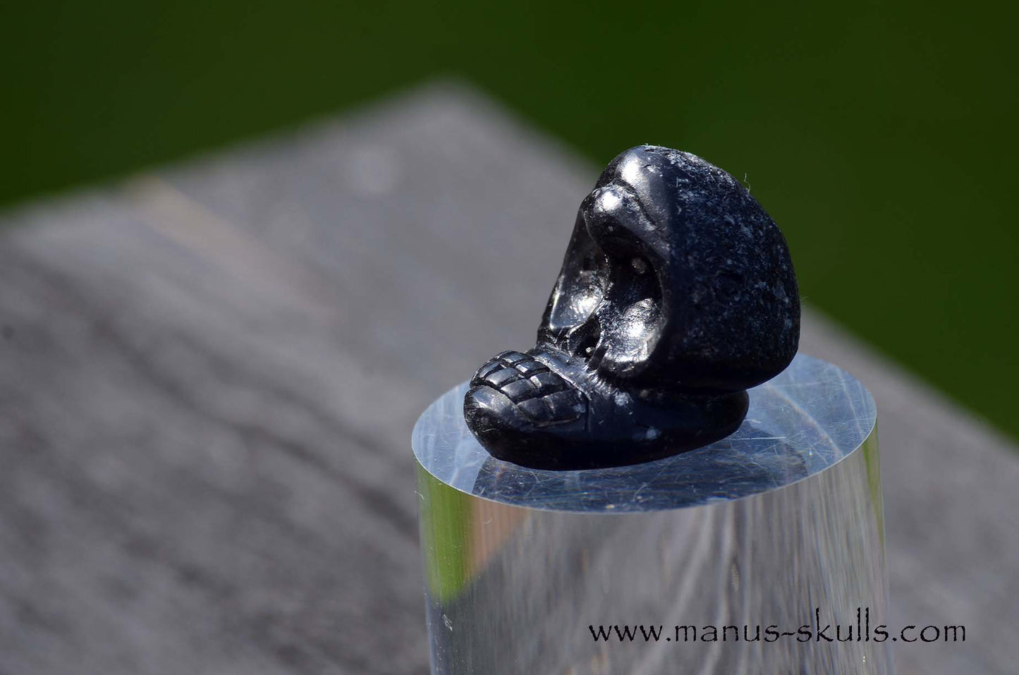 Agni Manitite Evolian #06