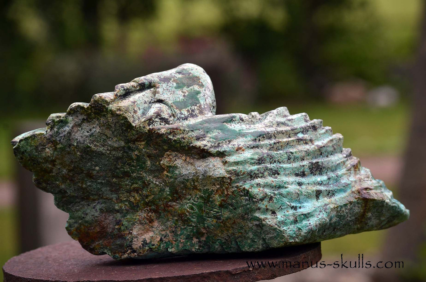 Large Turquois Dragon