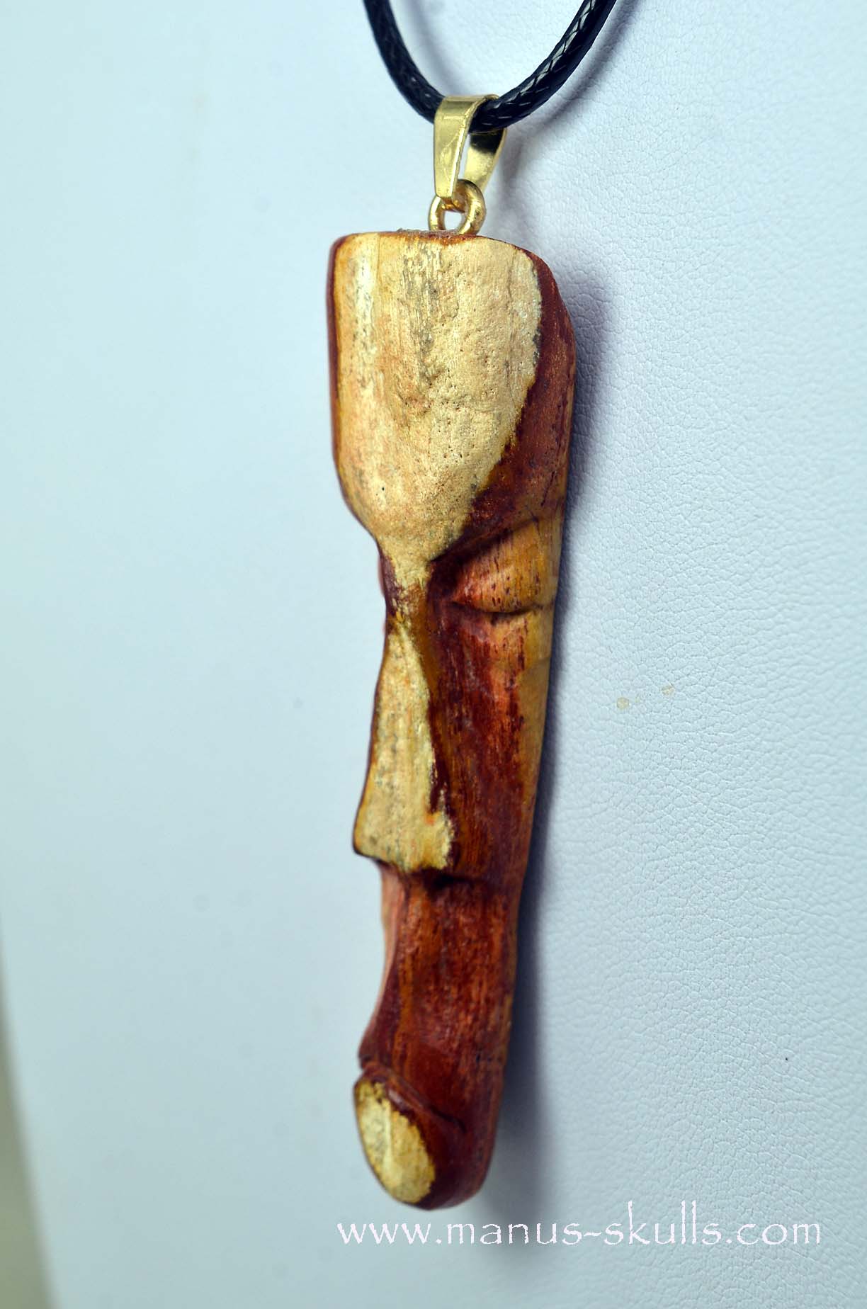 Petrified wood Pendant