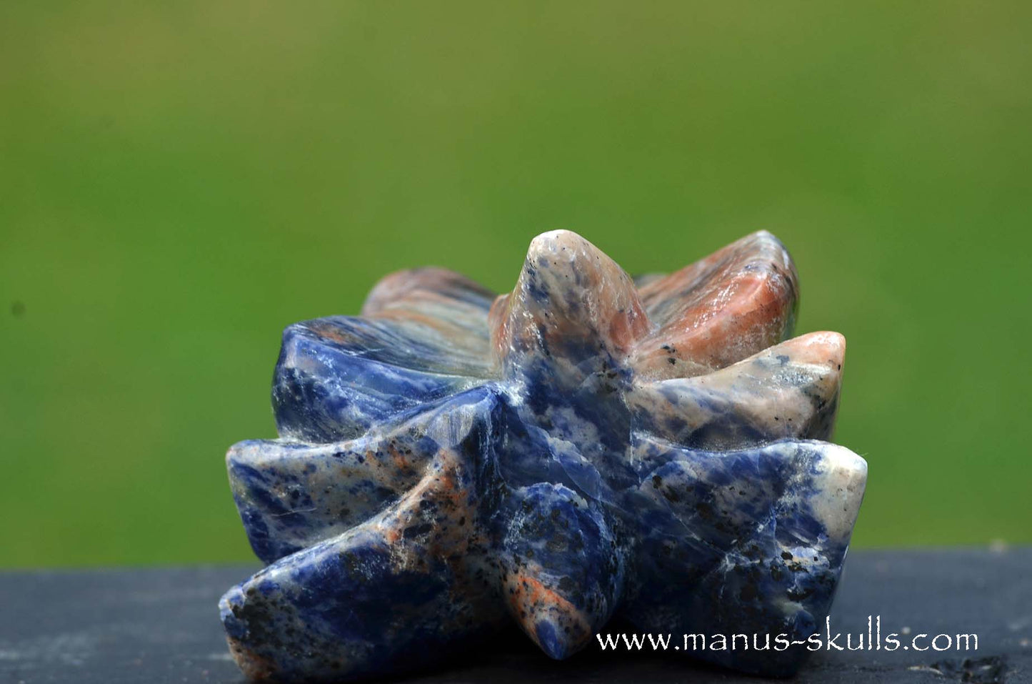 Sunset Sodalite Dragon
