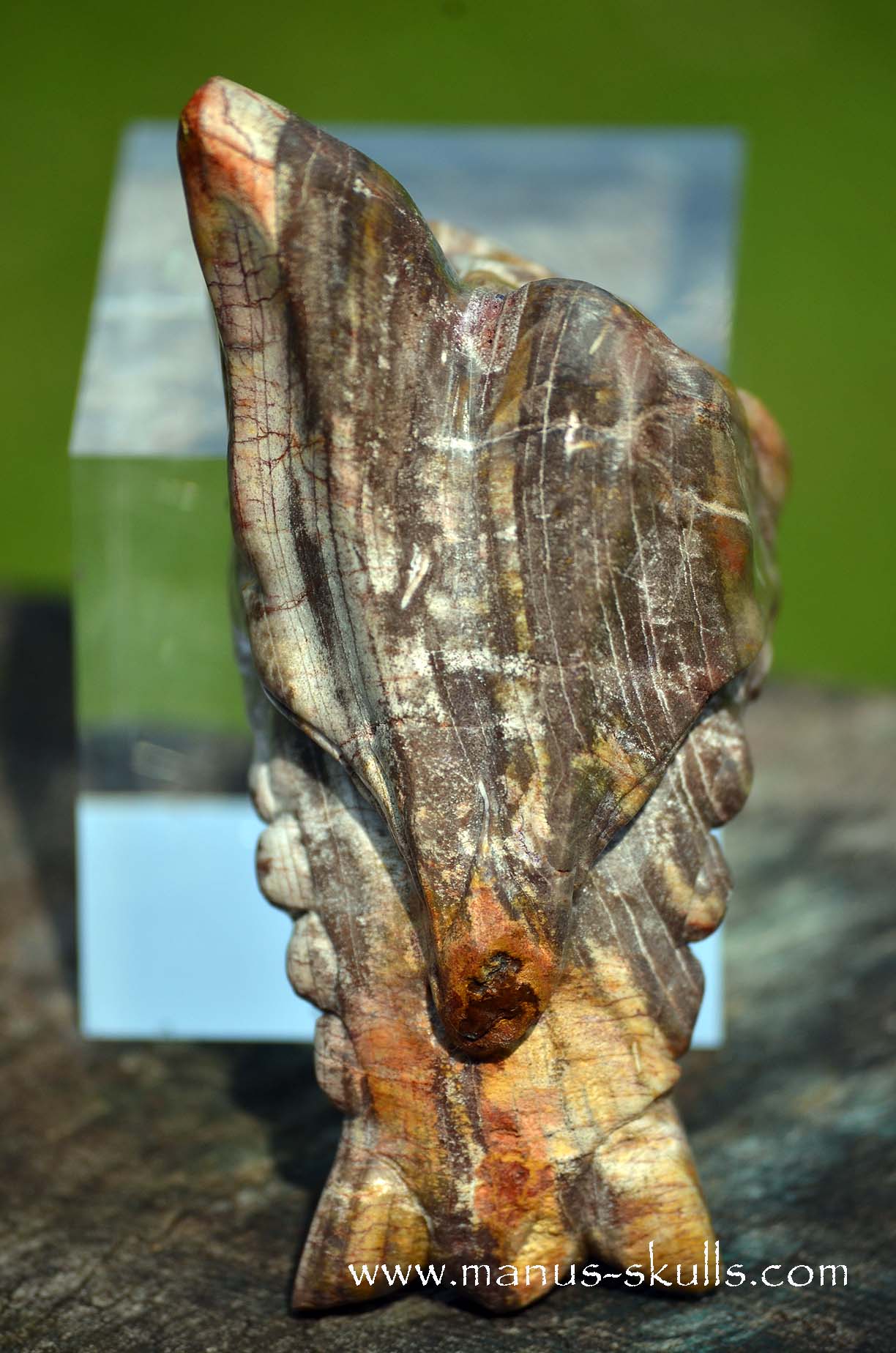 Petrified wood Dragon