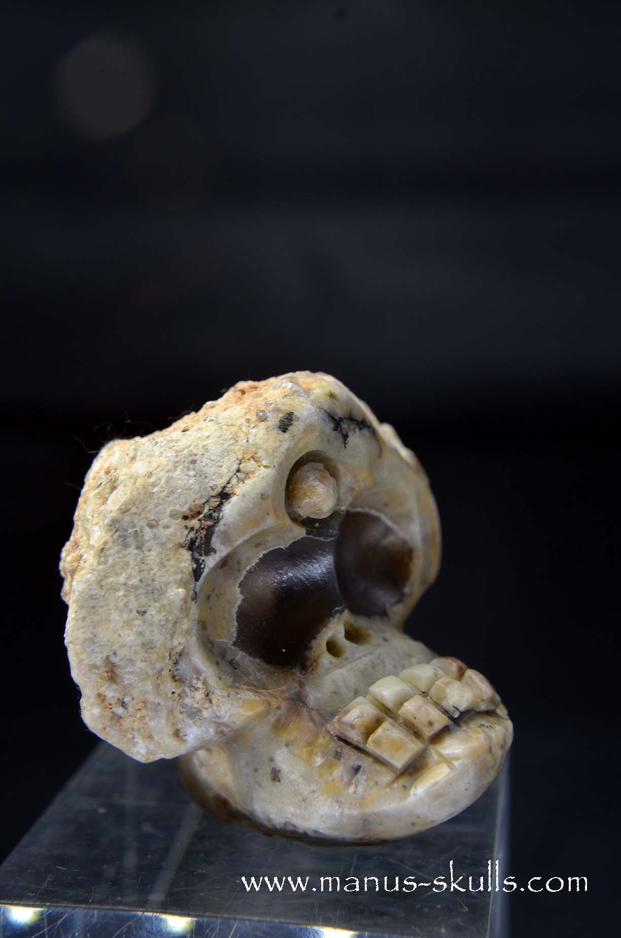 Manus skulls unique Crystal Carvings handmade skulls dragons pendants preseli bluestone tribals spiritual meaning wand Unicorn .. TNT bed   Lithophyse   Thunderegg