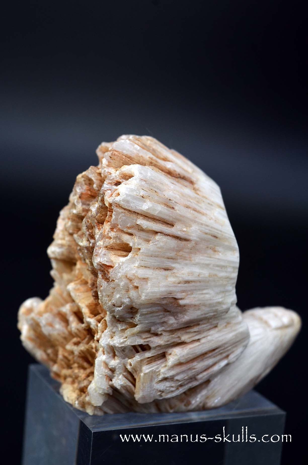 Scolecite Evolian Skull #06