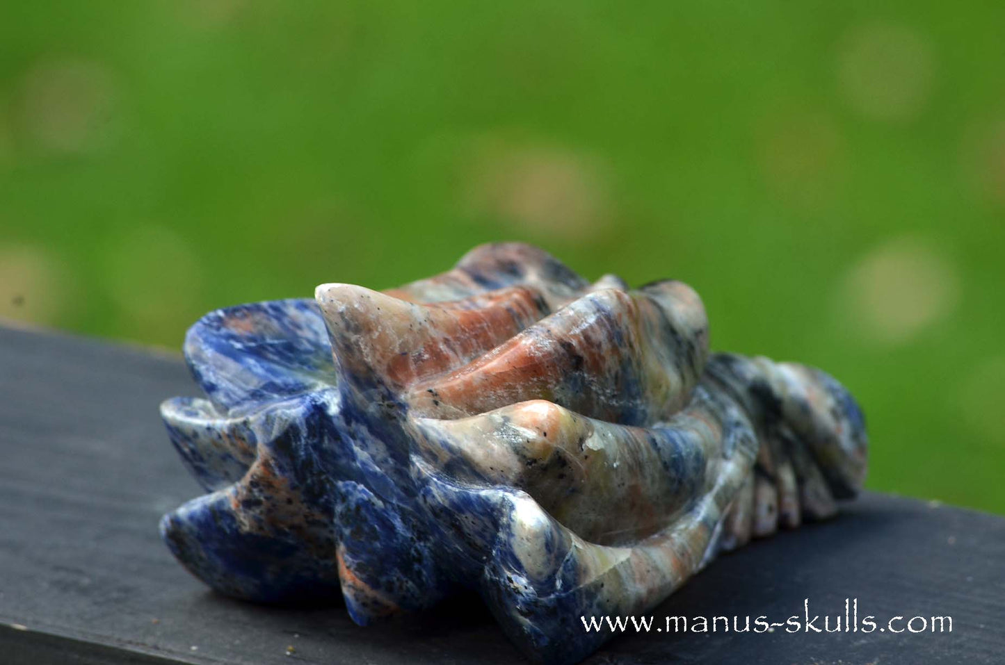 Sunset Sodalite Dragon