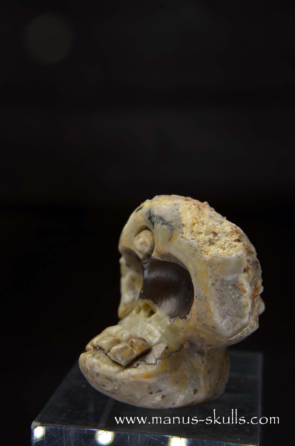 Manus skulls unique Crystal Carvings handmade skulls dragons pendants preseli bluestone tribals spiritual meaning wand Unicorn .. TNT bed   Lithophyse   Thunderegg