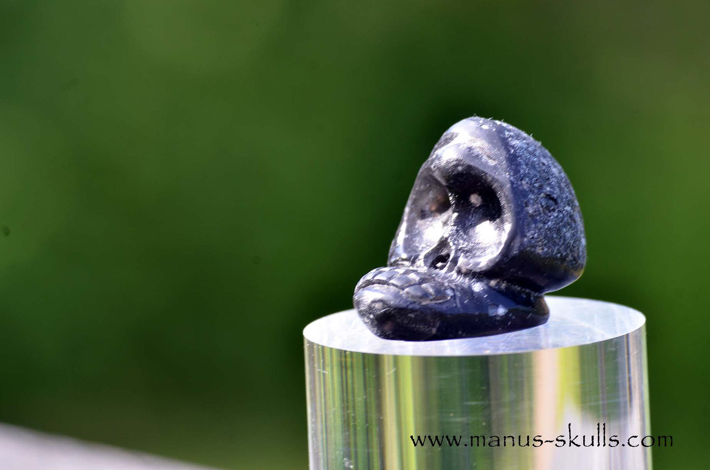 Agni Manitite Evolian #06
